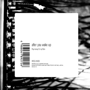 免费在线黄色网址
