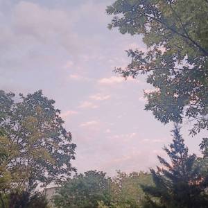 免费在线黄色网址
