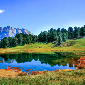 免费在线黄色网址
